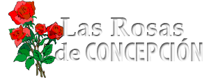 Las Rosas de Concepción