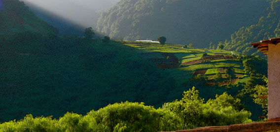 Las Rosas de Concepcion